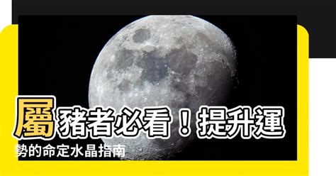 屬豬適合什麼顏色|【屬豬適合什麼顏色】屬豬者好運相隨！2024年最強幸運色解。